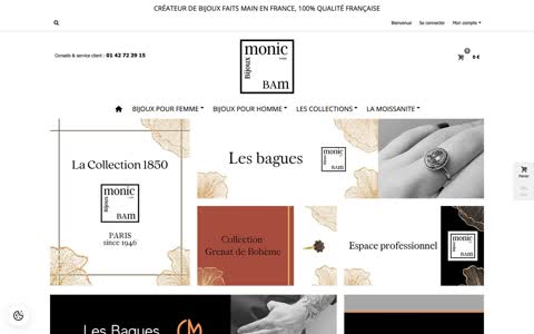 Le site de Monic Paris avant la refonte